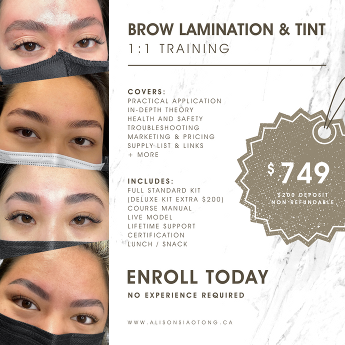 Brow Lamination & Tint Training